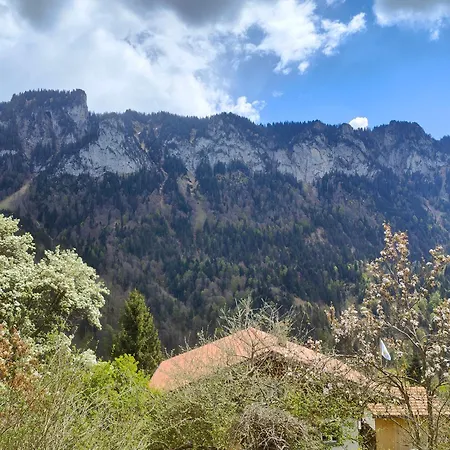 Homestay Mountain Village *