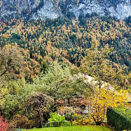 Mountain Village Homestay *
