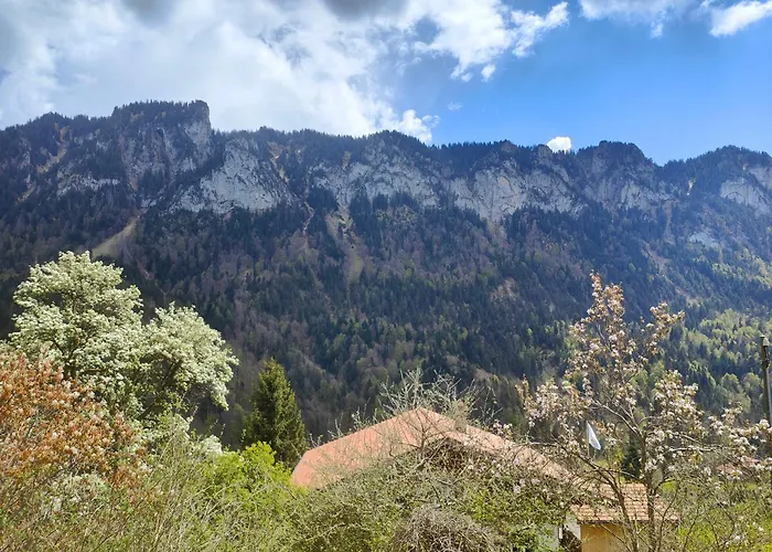 בית אירוח Mountain Village *