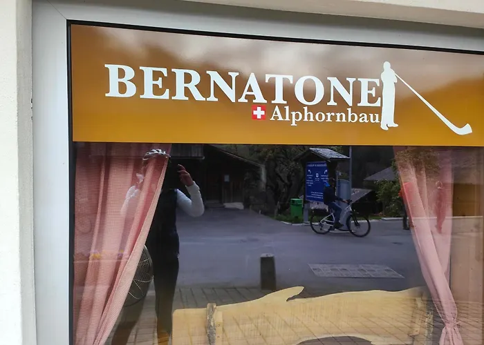 Privat bolig Mountain Village Habkern