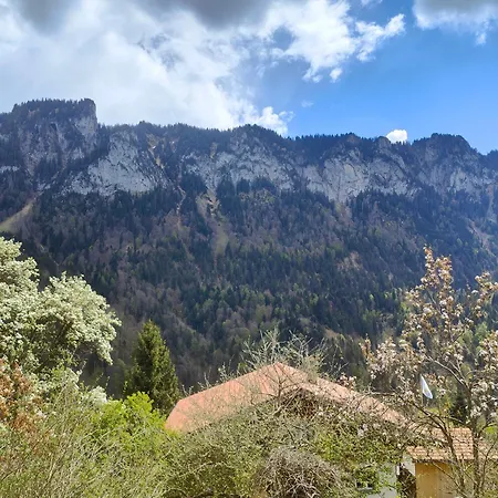 Ubytování v soukromí Mountain Village *